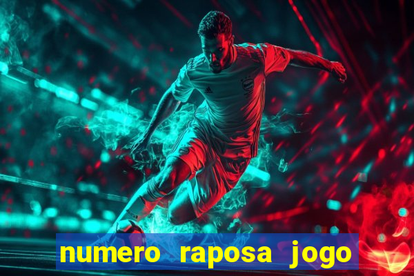 numero raposa jogo do bicho